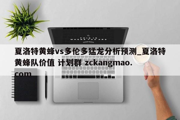 夏洛特黄蜂vs多伦多猛龙分析预测_夏洛特黄蜂队价值 计划群 zckangmao.com 